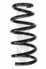 SPIDAN 86896 Coil Spring
